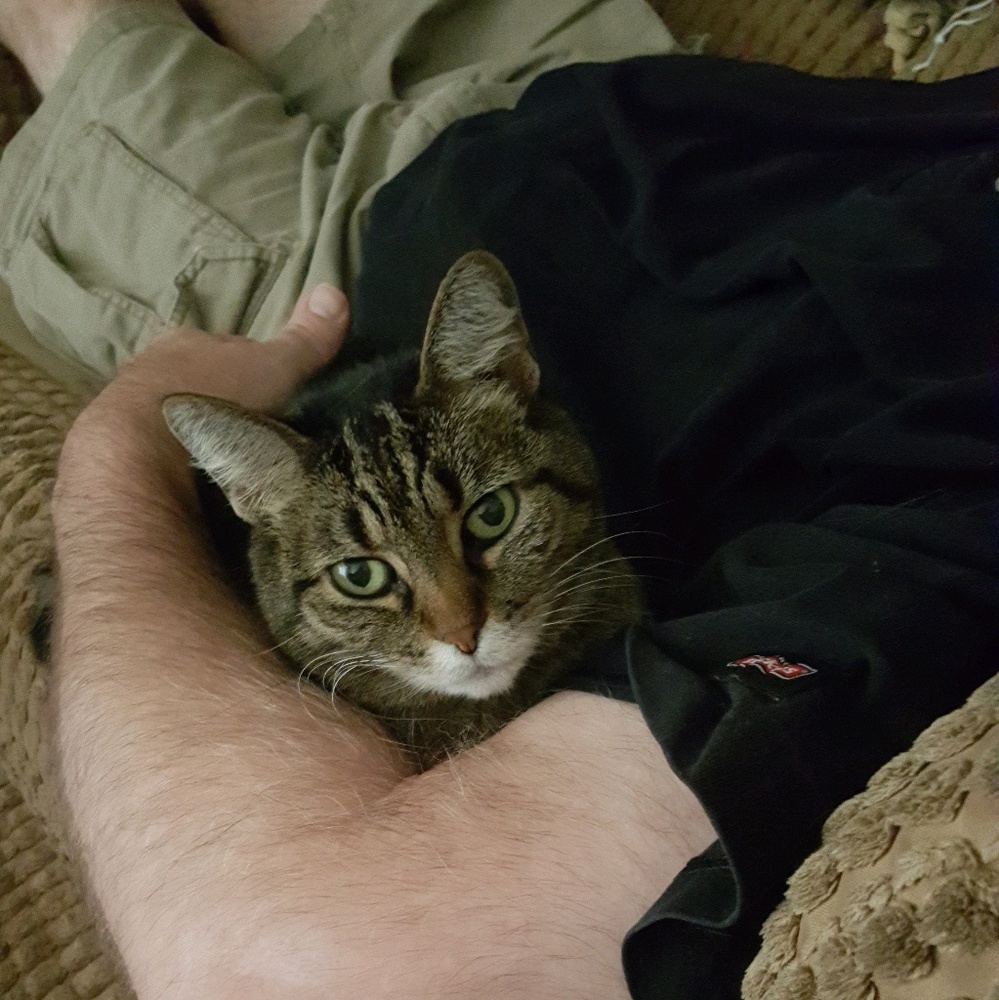 Meet your Posher, Carrie